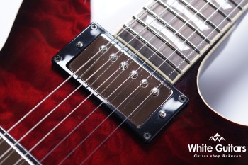 Z22QQ - Trans Red Burst
